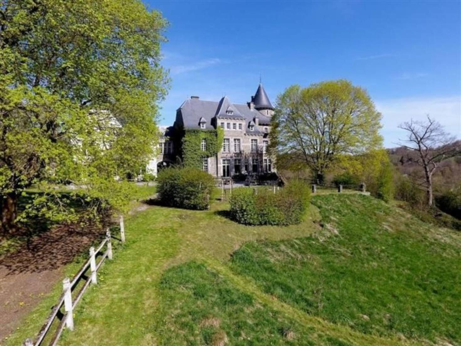 Le Petit Chateau De Blier Érezée المظهر الخارجي الصورة